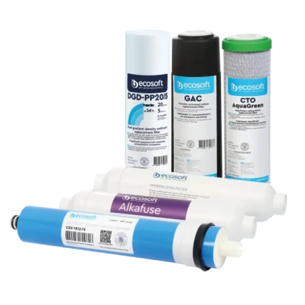Комплект  картриджів Ecosoft CHV6PUREALC